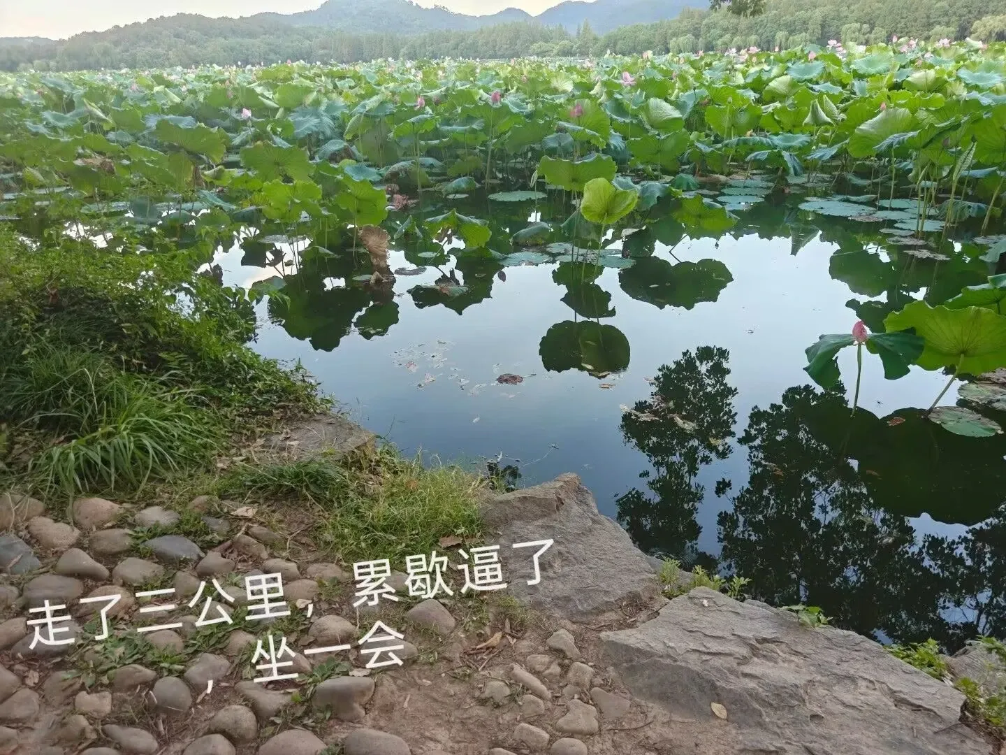 好累