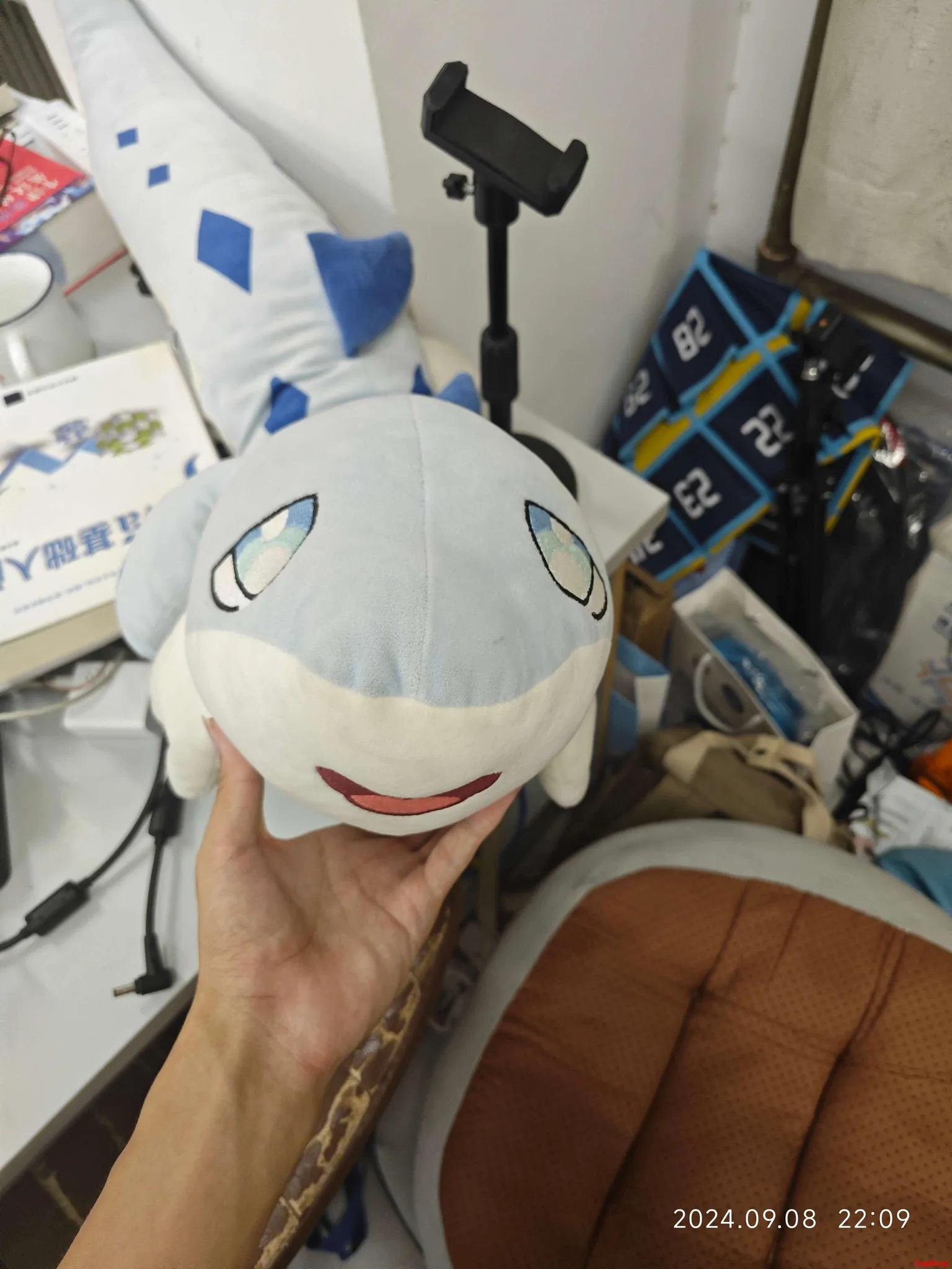 重回409再次看到stl学长的玩偶