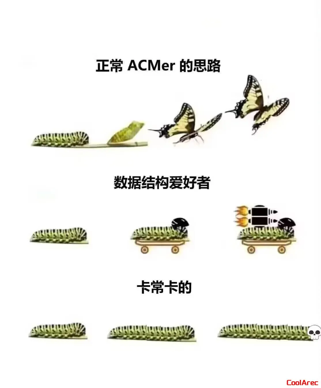 毛毛虫+火箭