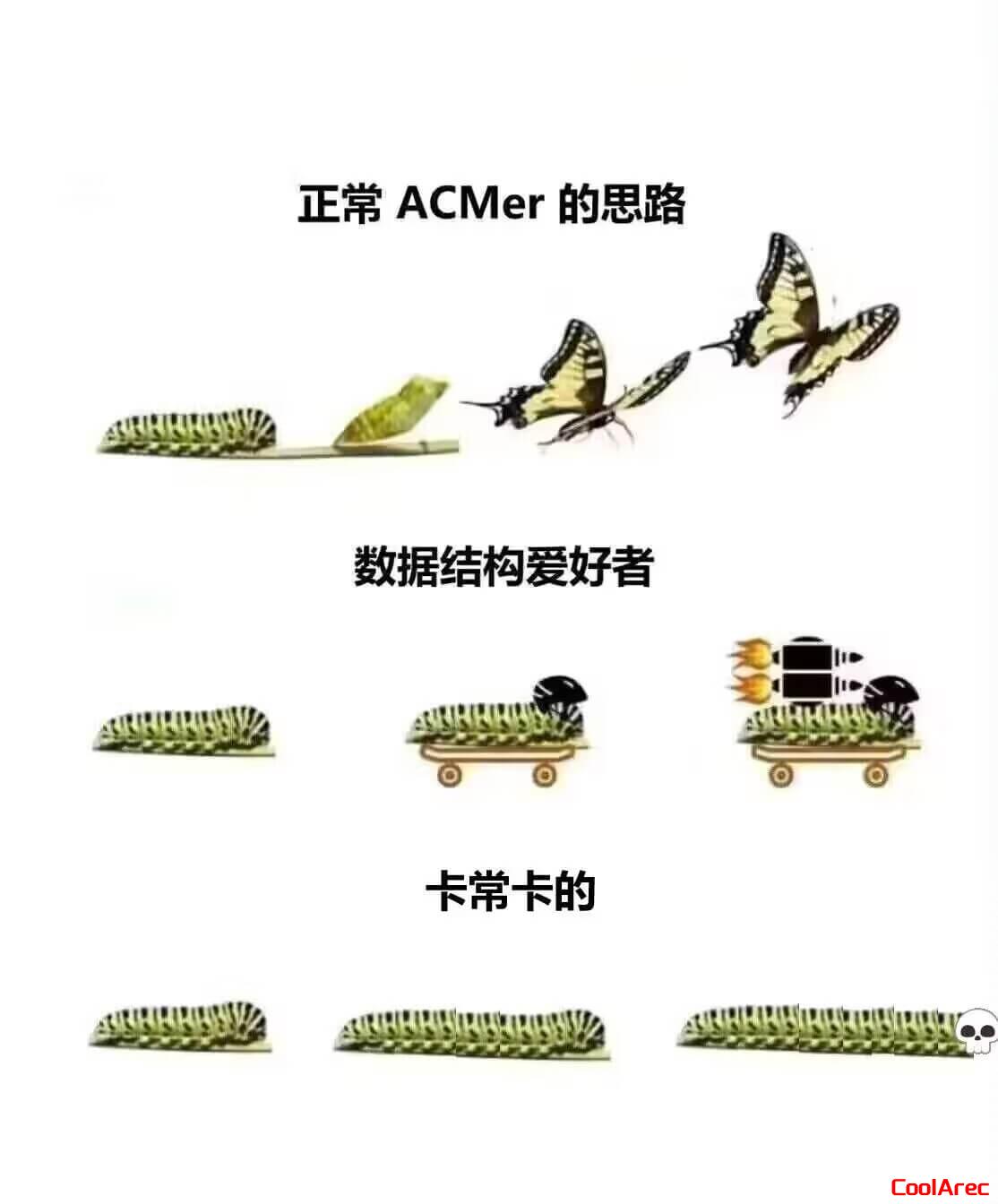 毛毛虫+火箭