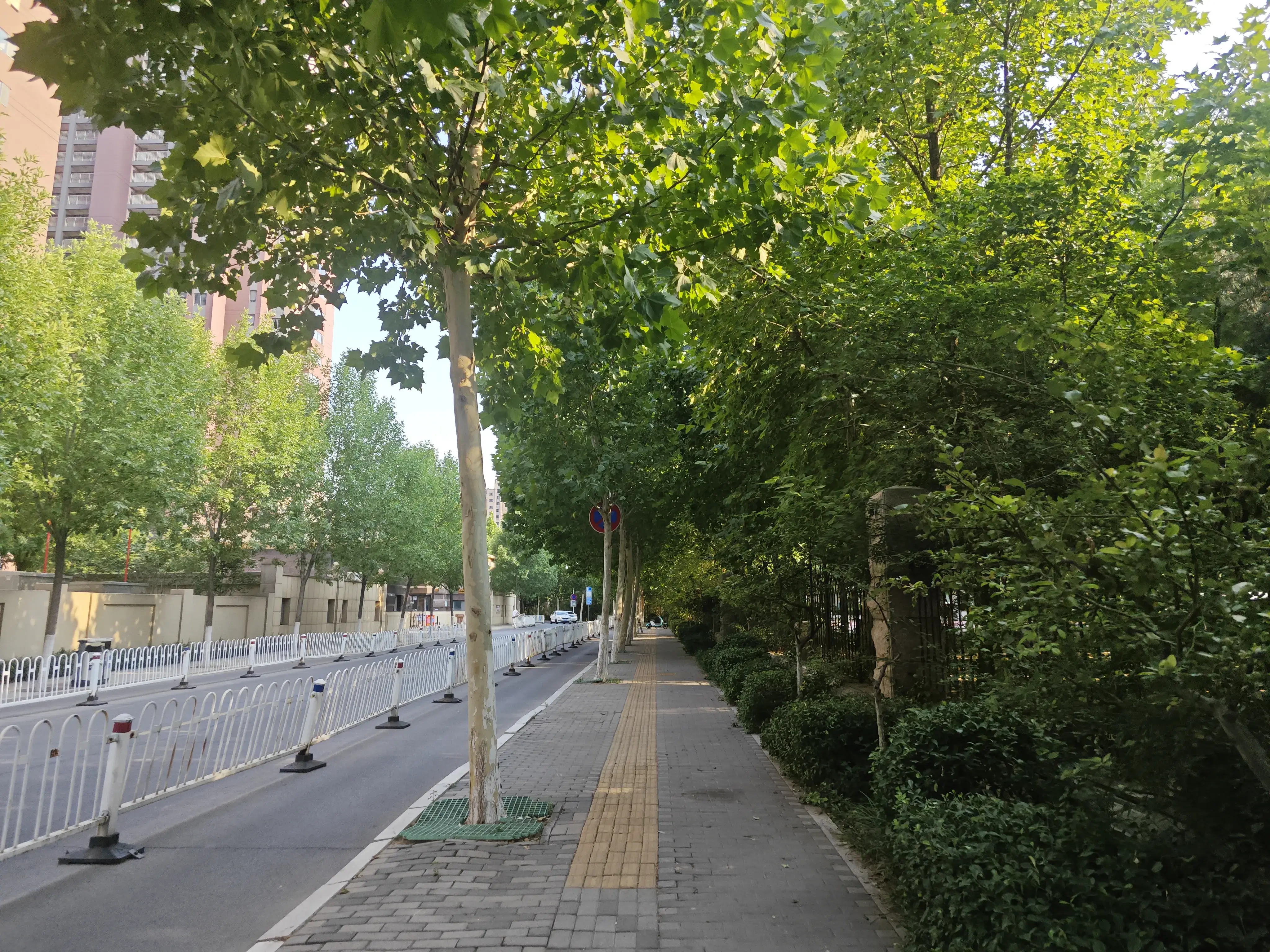 回去的路上